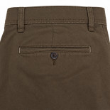 Odessa Stretchable Fine Printed Chino Brown