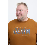 8940 Sweater With Chest Print Caramel