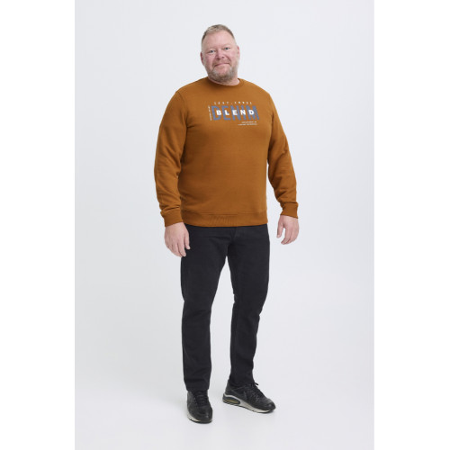 8940 Sweater With Chest Print Caramel