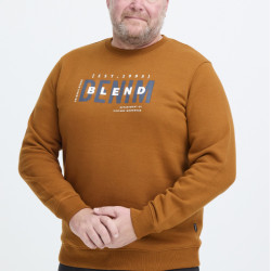 8940 Sweater With Chest Print Caramel