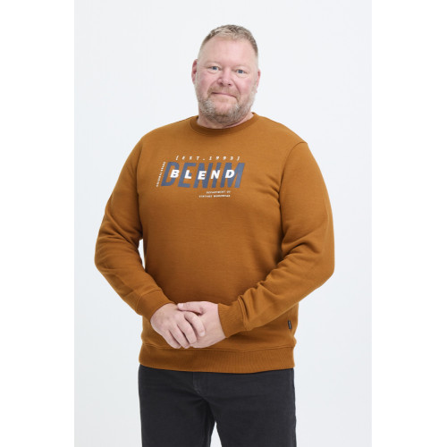 8940 Sweater With Chest Print Caramel