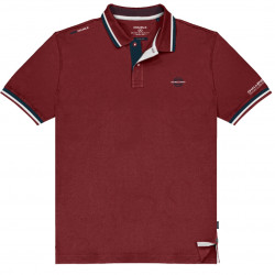 PS-3043 - 100% Pique Cotton Polo Shirt with collar and sleeve trimming RED
