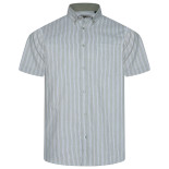 6386 Striped Button Down Shirt SAGE