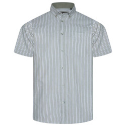 6386 Striped Button Down Shirt SAGE