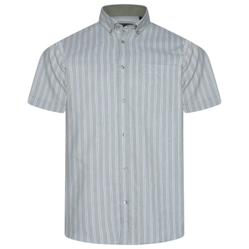 6386 Striped Button Down Shirt SAGE