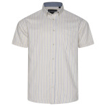 6386 Striped Button Down Shirt STONE