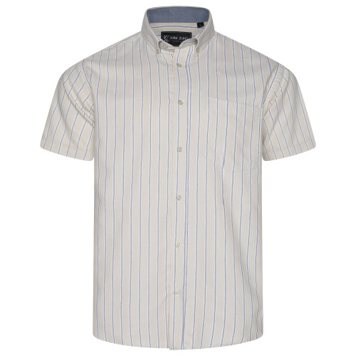 6386 Striped Button Down Shirt STONE