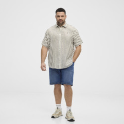 51308 NORTH Striped Linen/Cotton Shirt Green