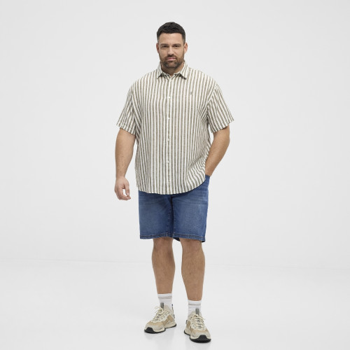 51308 NORTH Striped Linen/Cotton Shirt Green